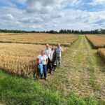 Neues aus Sommerhafer