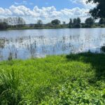 der Seeteich ist voll nach dem vielen Regen im Herbst und nun im Juli